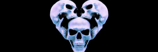 MichaelCairoFL Profile Banner