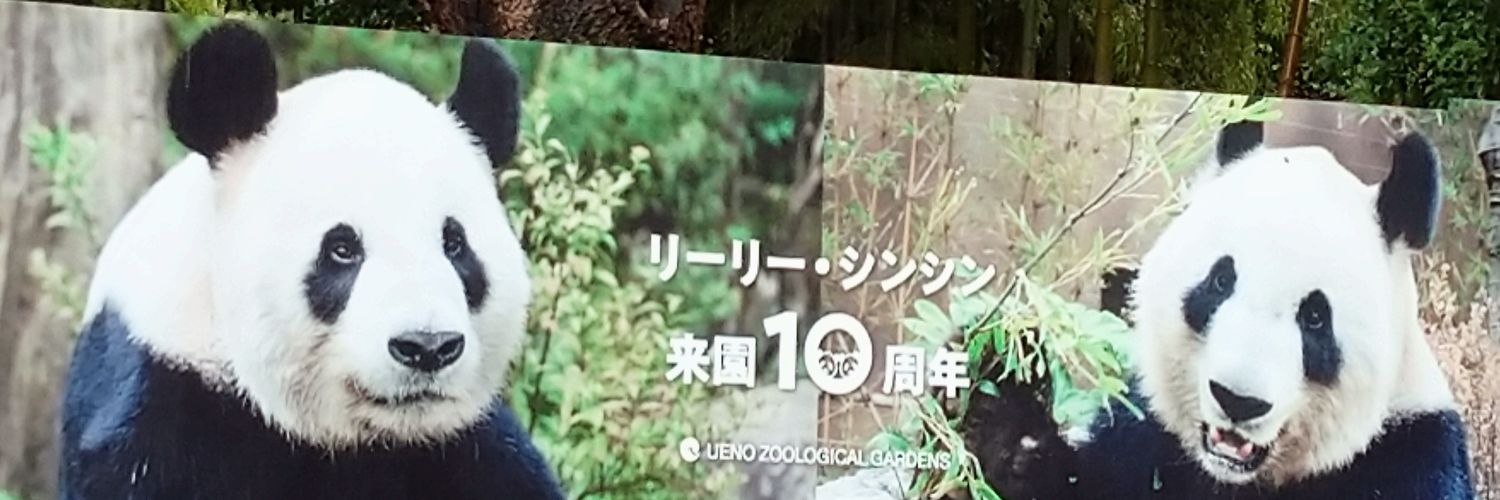 yuncaasu's profile banner image