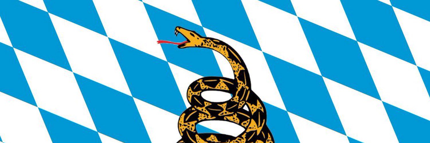 libviktor's profile banner image