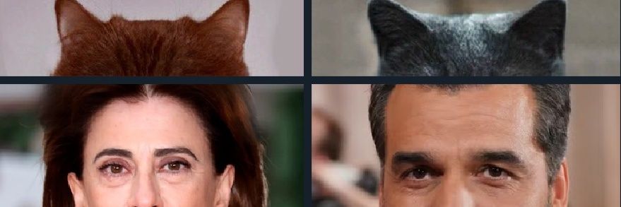 Kalopsitona's profile banner image
