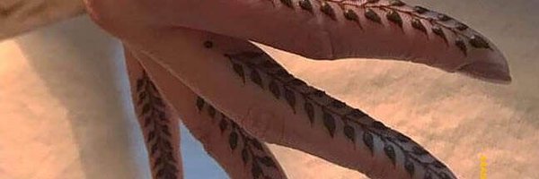 MaimunaBashirM1 Profile Banner