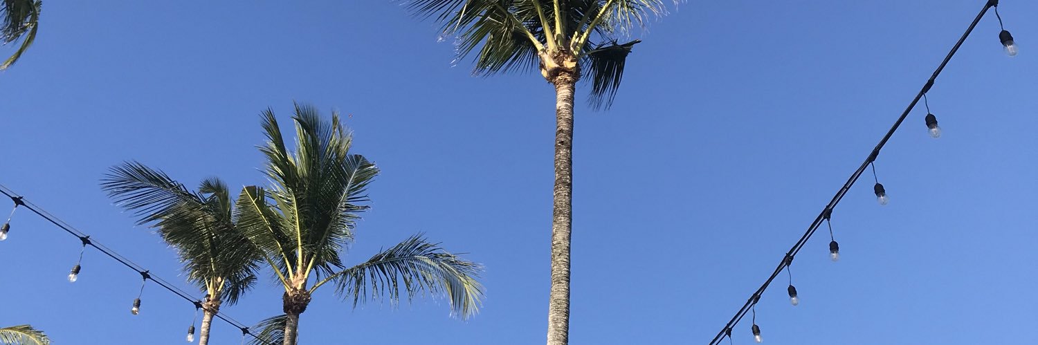 belfimaputri's profile banner image