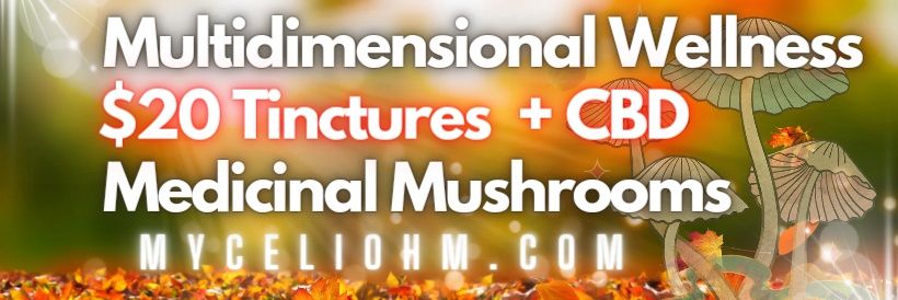 🍄 MyceliOhm Foundation 🍄 banner
