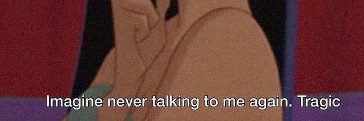 palola palooza banner