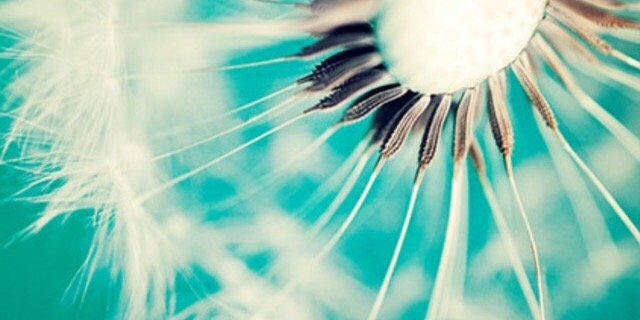 tracey bennett banner