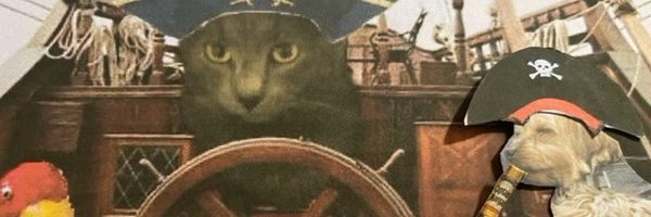 PazzNiko_Cat Profile Banner
