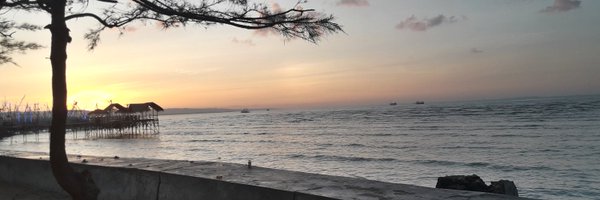 naerla Profile Banner