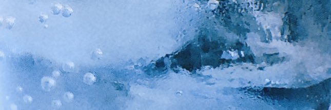 おさかな banner