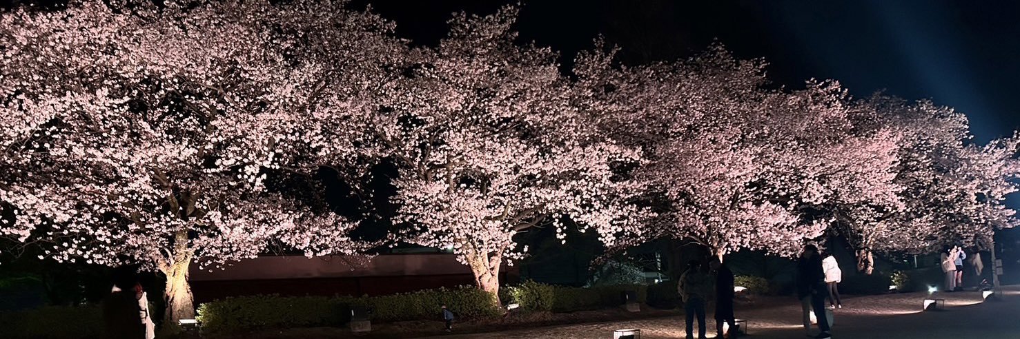 ふうかちゃ banner