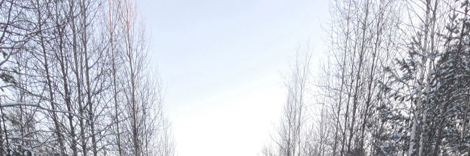 Magnum_12x76's profile banner image
