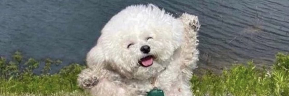 Quin (Whimsical Era) banner