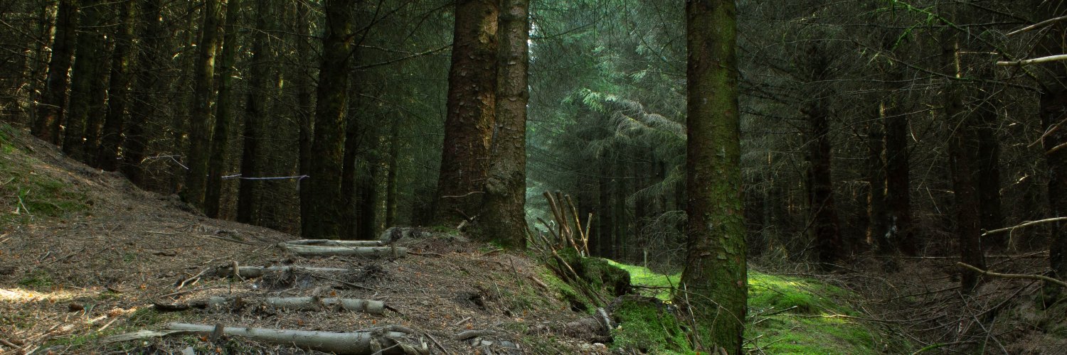 jackdnbdev's profile banner image