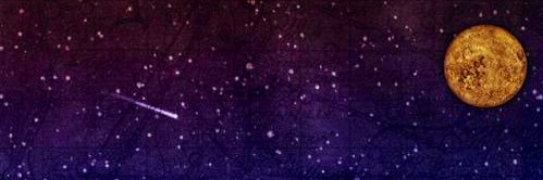 Sigпalpеsтт's banner