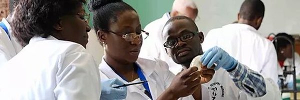 PhageUg Profile Banner