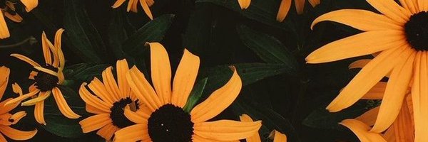 RebeccaAtimO Profile Banner