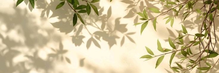 mashoko1's profile banner image