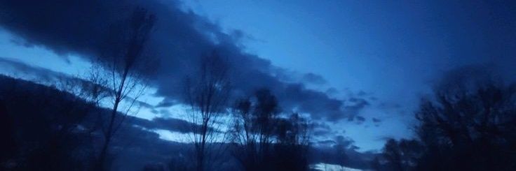 skylieez's profile banner image