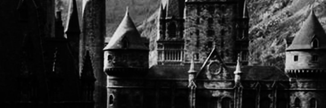 freak banner