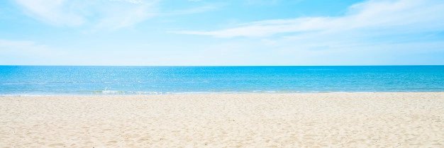 Info Flash Sale banner