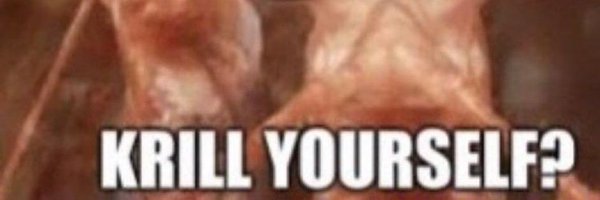 HollyMollycsgo Profile Banner