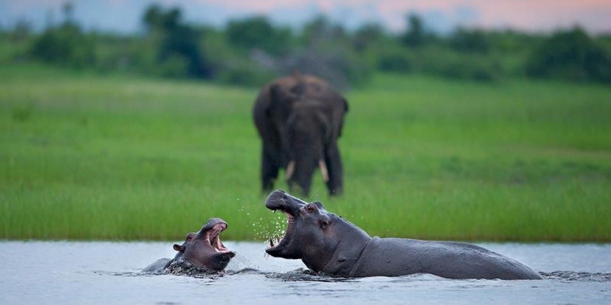 AFRICA_Nature's profile banner image