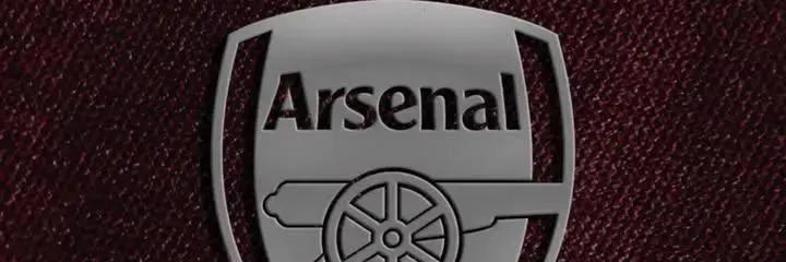 MomberaTanaka's profile banner image