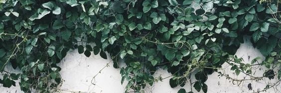 _hadq21's profile banner image
