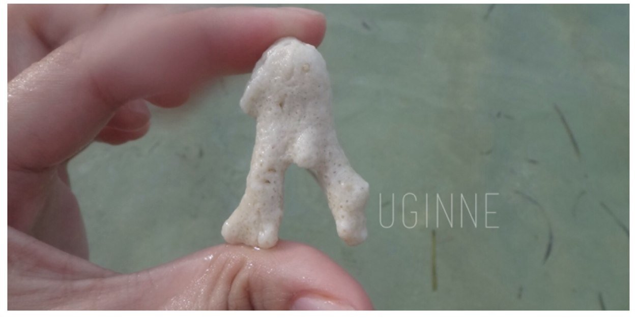 auginne's profile banner image