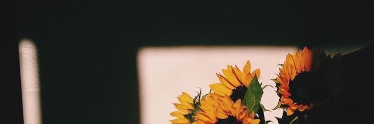 ғ o и banner