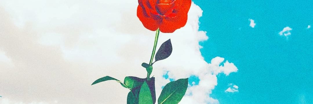 mortorlopez's profile banner image