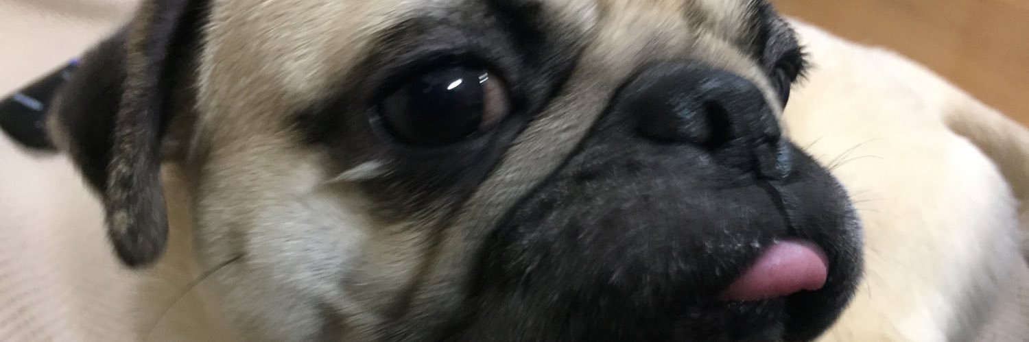ykppp6's profile banner image