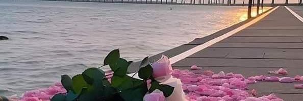 منال الجهني🦋🦋 banner