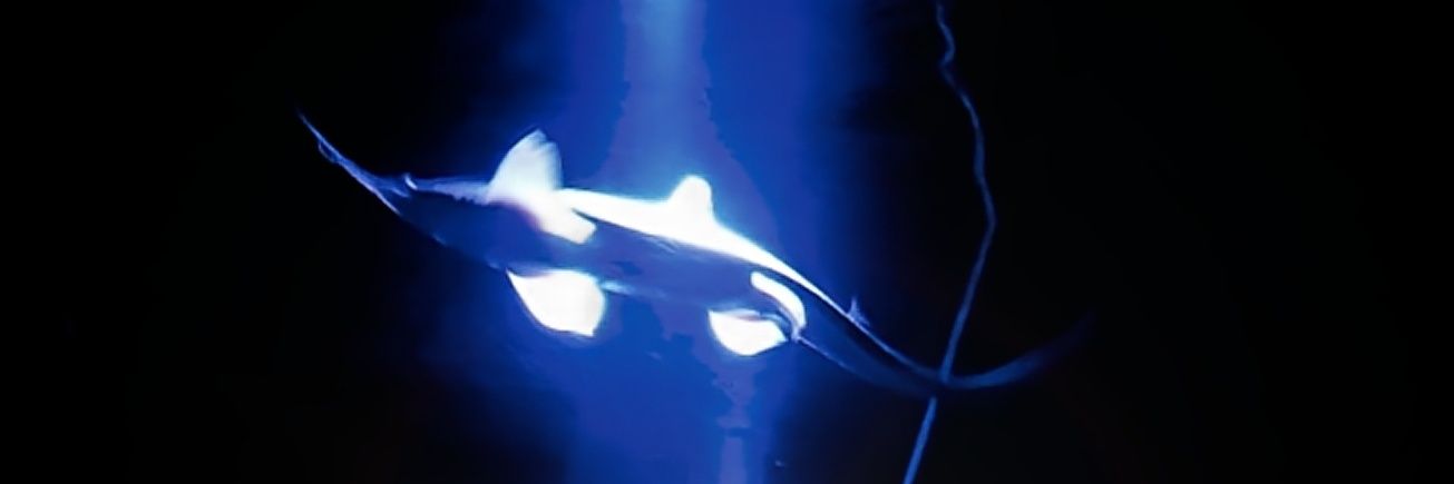 may32119's profile banner image