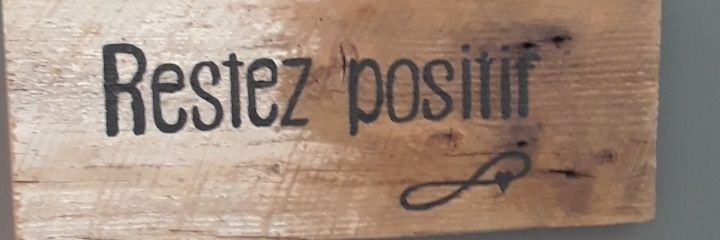 Steph 👫🧑‍🍳🐕😻🏝️🍷🛤️ banner