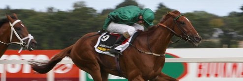 Daniel Masterton banner