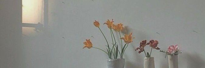 ᙚꫛ そな banner