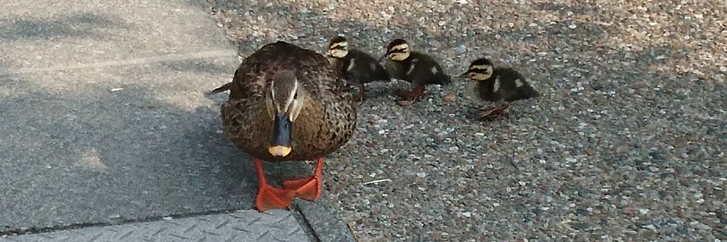 佐々木 ロキ banner