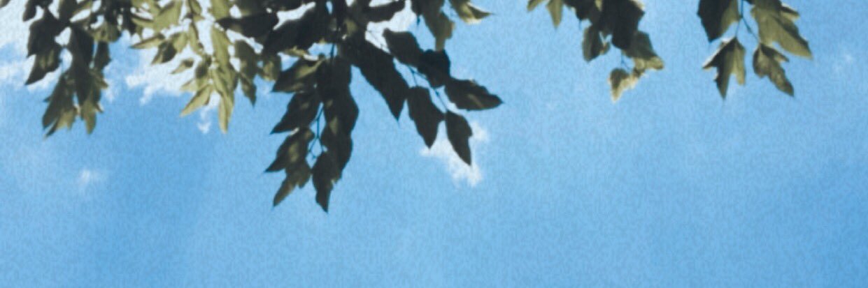 Sara banner