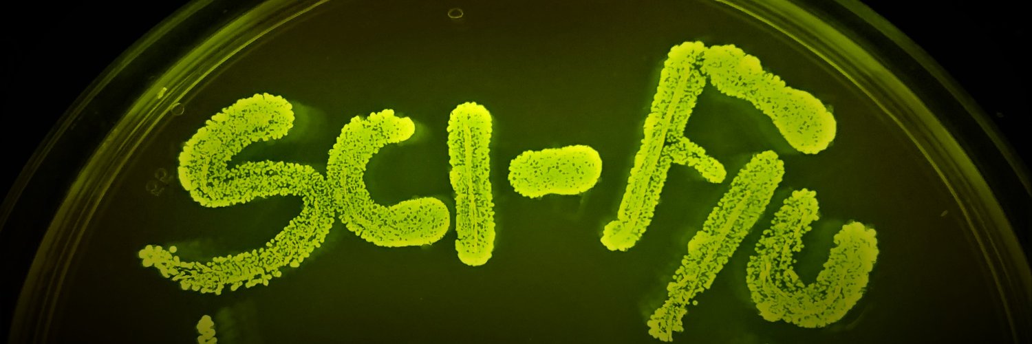 𝕾𝖈𝖎-𝕱𝖑𝖚 🏳️‍🌈 banner