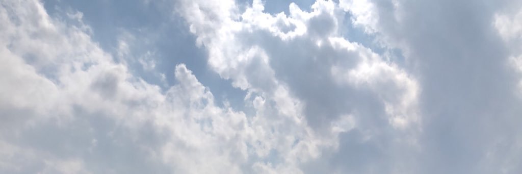 Amnah Al Rashid banner