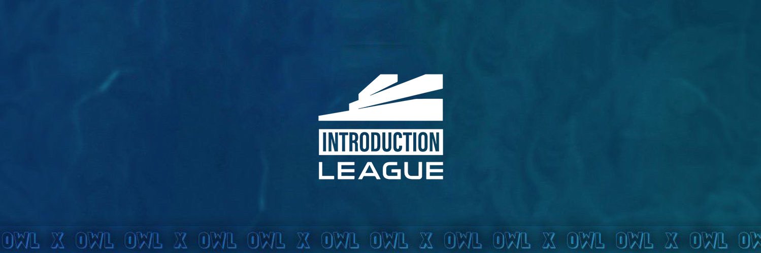 Owl banner