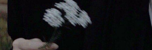 Azu not asu🔞 banner