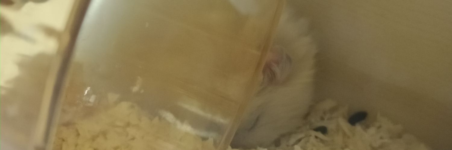 chuckyed's profile banner image
