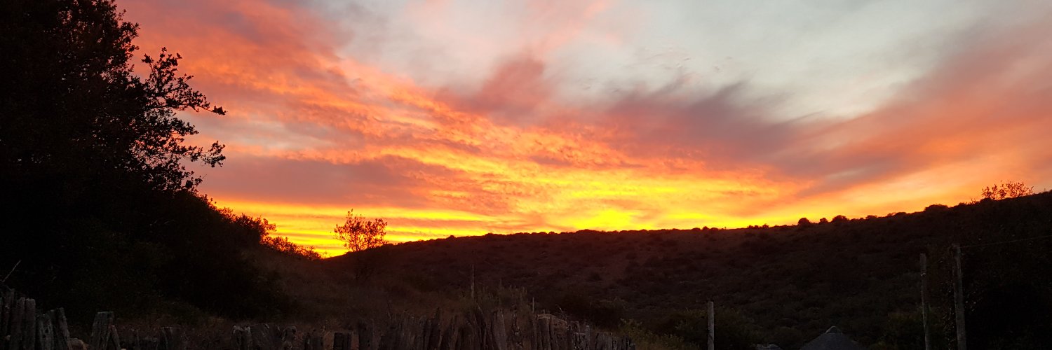 Further or Alternatively banner