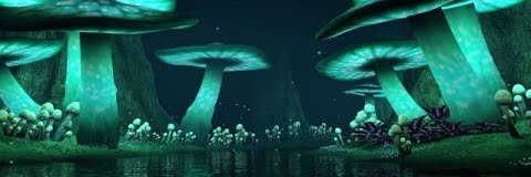 nymph711's profile banner image