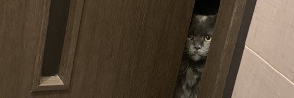 1basya1 Profile Banner