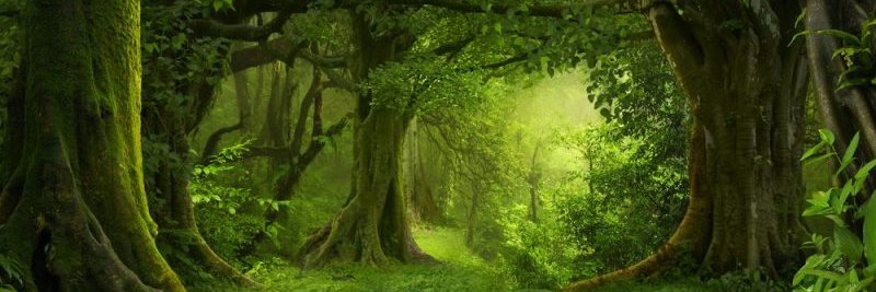 JCaveras's profile banner image