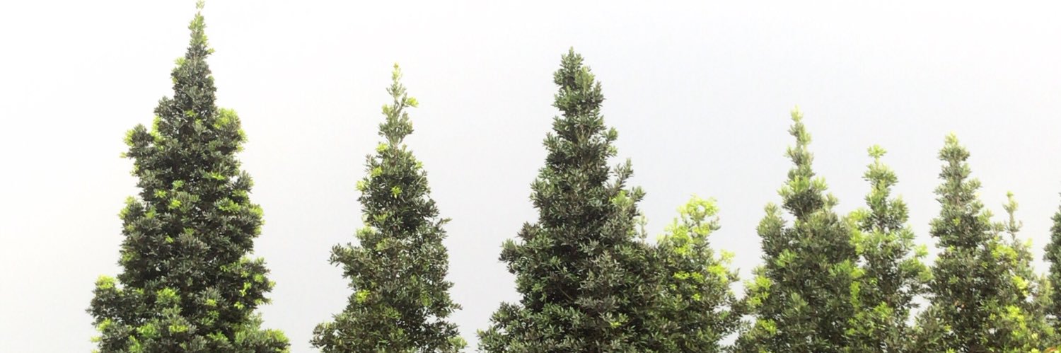 AngiaFPB's profile banner image