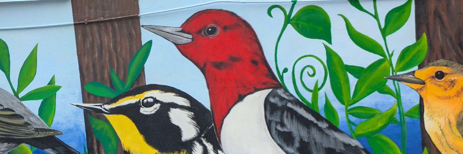 Mark Anderson banner