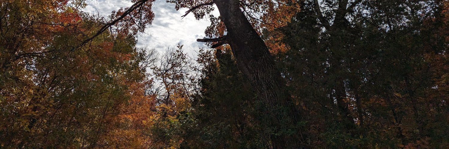 Dana Vickerson banner